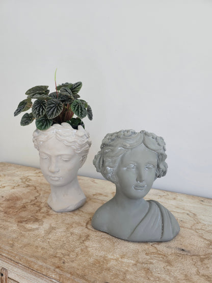 Angel | Cement head Planter