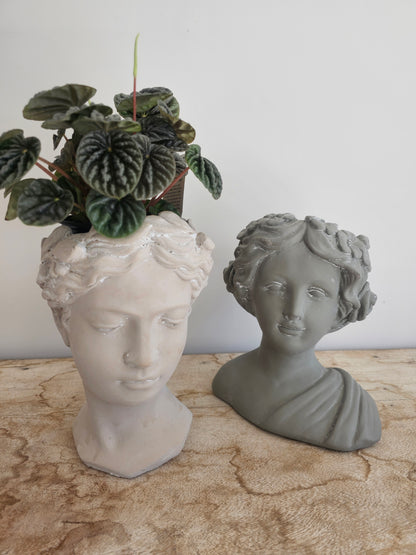 Angel | Cement head Planter