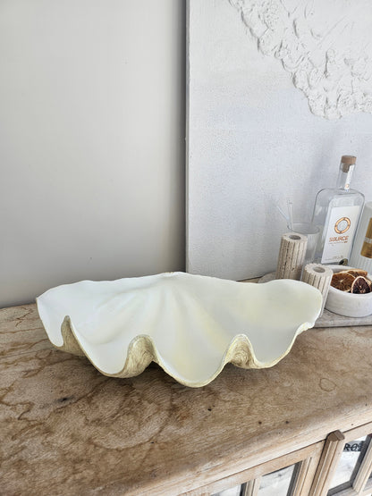 Resin Clam Shell | White