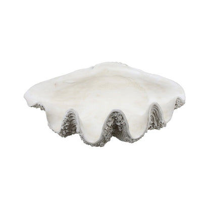 Natural Resin Clam Shell