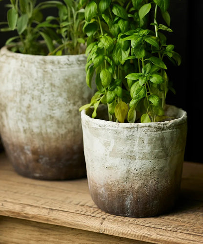 Textured Plant Pot | 13cm