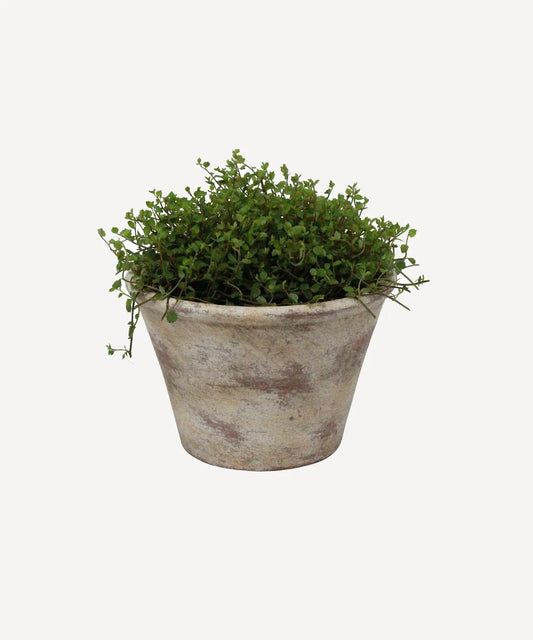 Providence Wide Plant Pot | 21cm