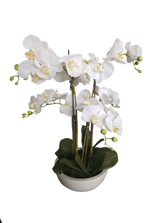 Potted Real Touch Orchid | White Planter