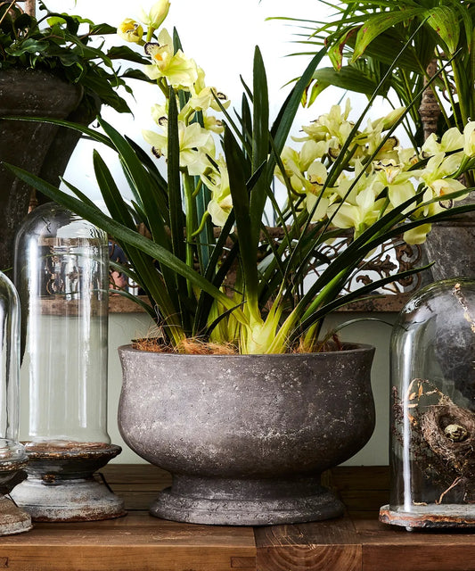 Stone Orchid Pot