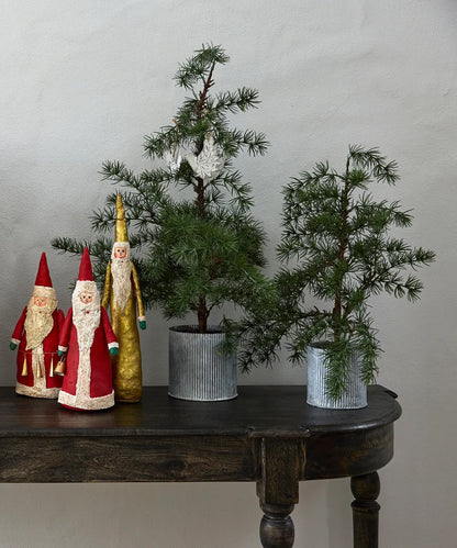 Potted Fir Tree